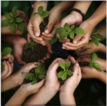 people, plant, profilts