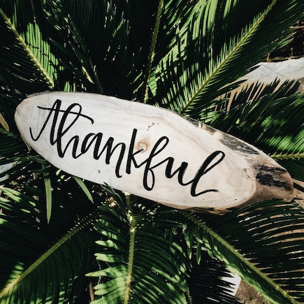 sf blog gratitude quotes sf blog gratitude quotes