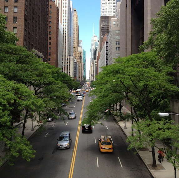 SF blog – corporate social impact SF blog - corporate social impact
