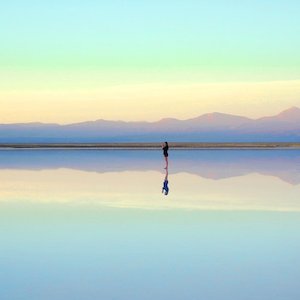 SF Blogs – Reflecting